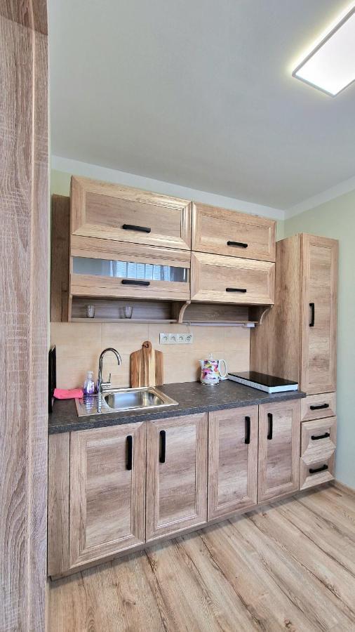 Tepla Apartment Teplice Bagian luar foto